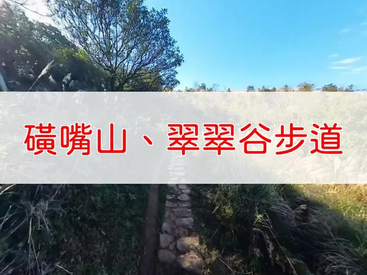 【台北】磺嘴山、翠翠谷步道 | 全長里程：單程約4.7公里 | 難易度：低至中，適合有基本體能的健行者