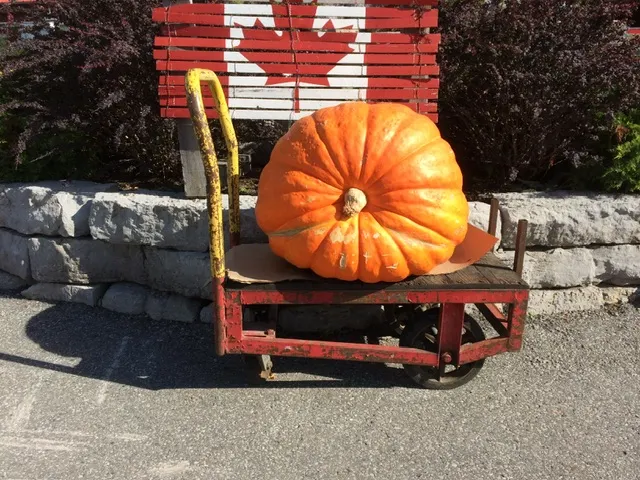 感恩節餐桌上少不了的南瓜