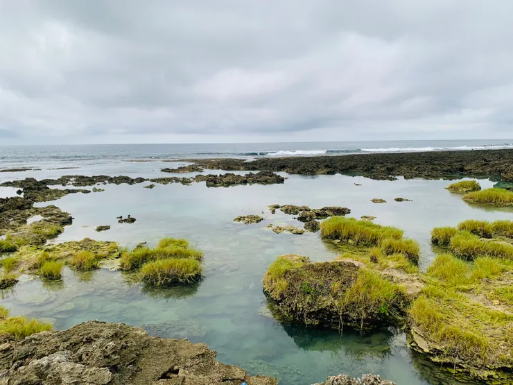 野銀冷泉的潮間帶，退潮時水較淺，但當天天候不佳，因此沒有再往前邁進