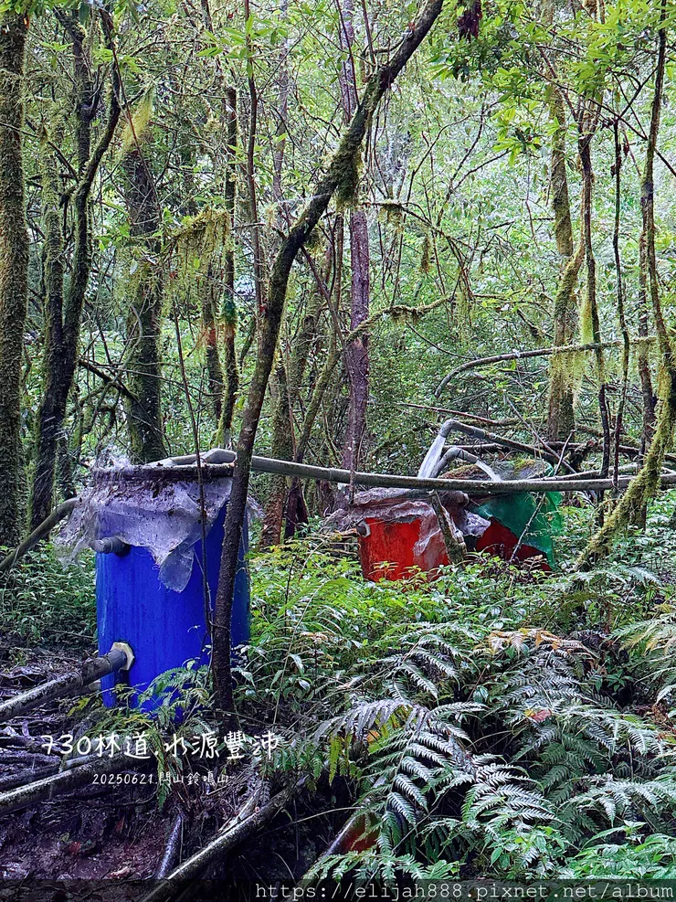【閂山鈴鳴山.挑戰兩日走50公里】王小明民宿/730林道/ 