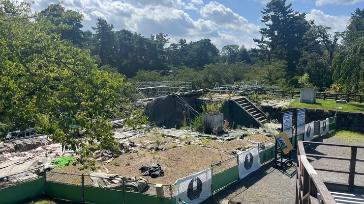 能看到這個場景,覺得也算滿幸運。