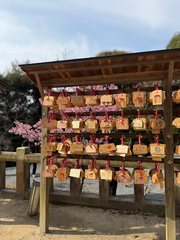 竈門神社 繪馬架