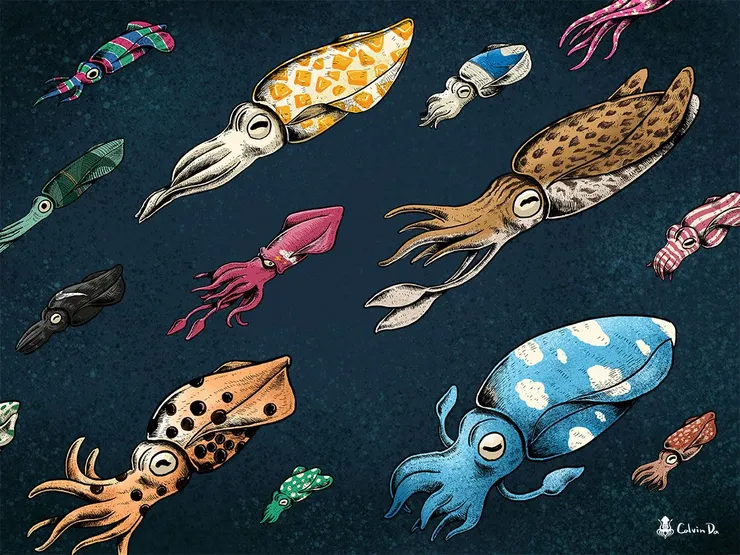 vocus|新世代的創作平台