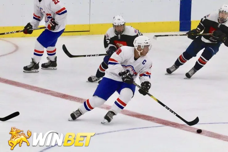 NHL冰球 冰上曲棍球