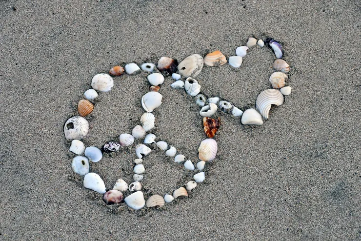 合一的關鍵是專注於愛與平和