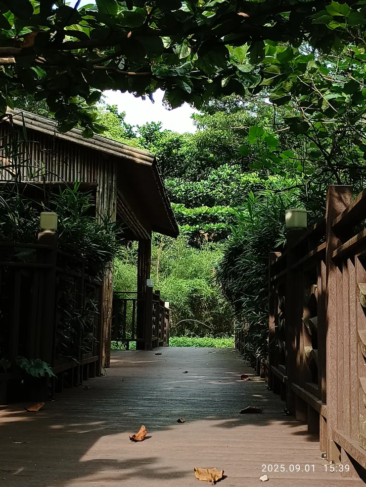 竹徑重影深黥面