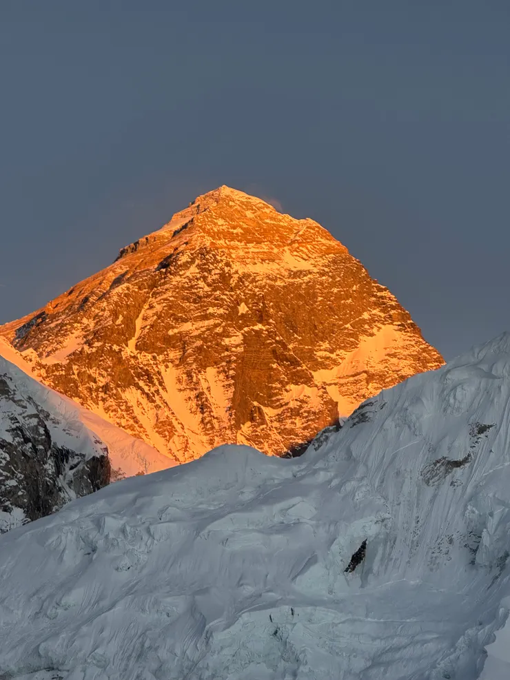 簡直像貼上金箔！