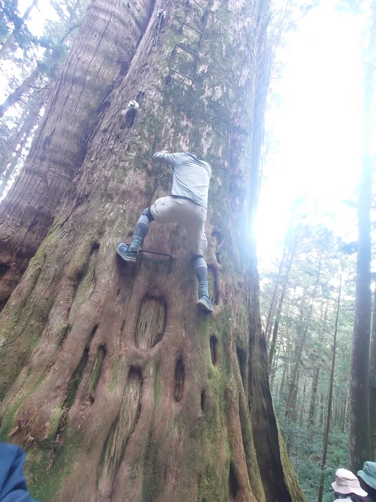 倒是有一位大叔躍躍欲試