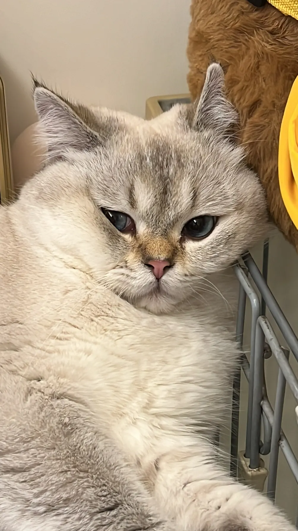 hui_likestoeat的日常