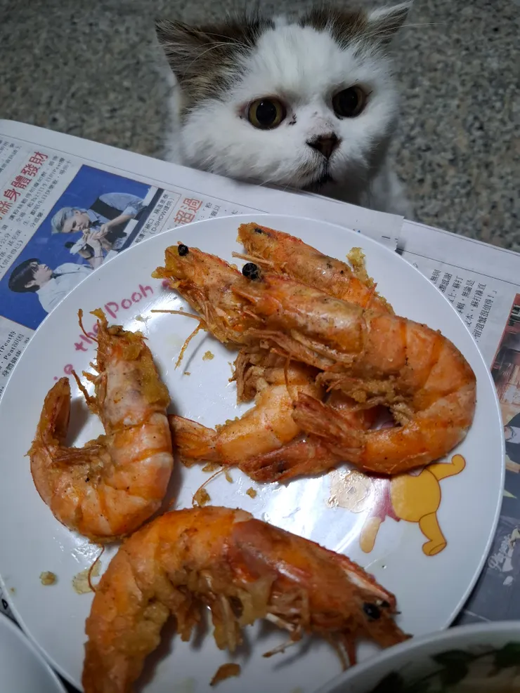 人家要吃蝦蝦。