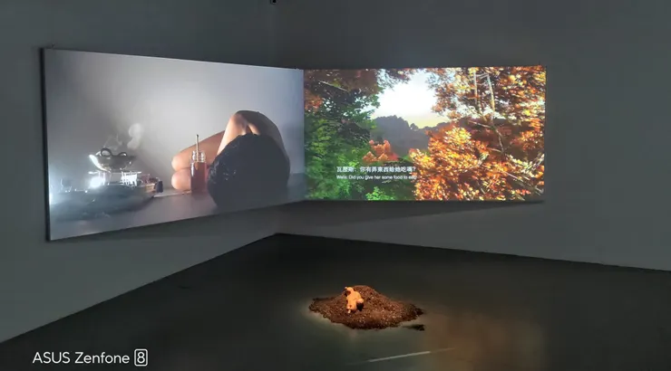 當代藝術館,林安琪作品《她來自_社》