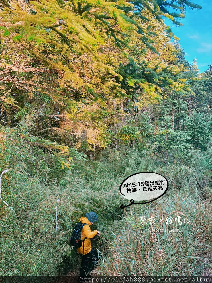 【閂山鈴鳴。兩日50公里百岳行】海拔3272公尺 鈴鳴山-
