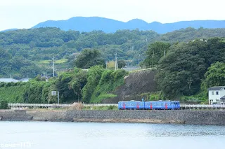 火車沿著海岸行駛
