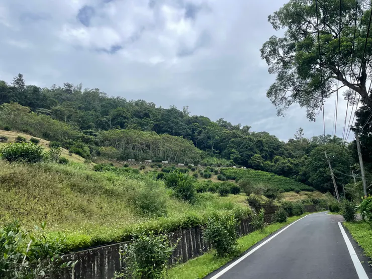 後面會變成柏油路,好走很多,但沒遮陰處好熱