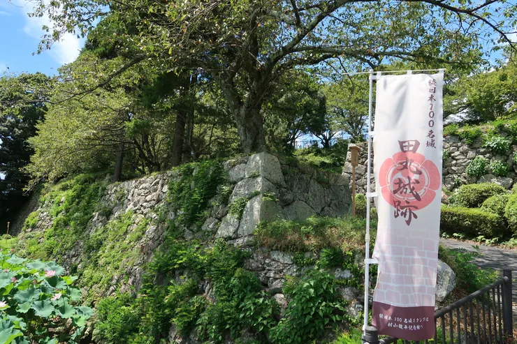 主要去了田丸城。