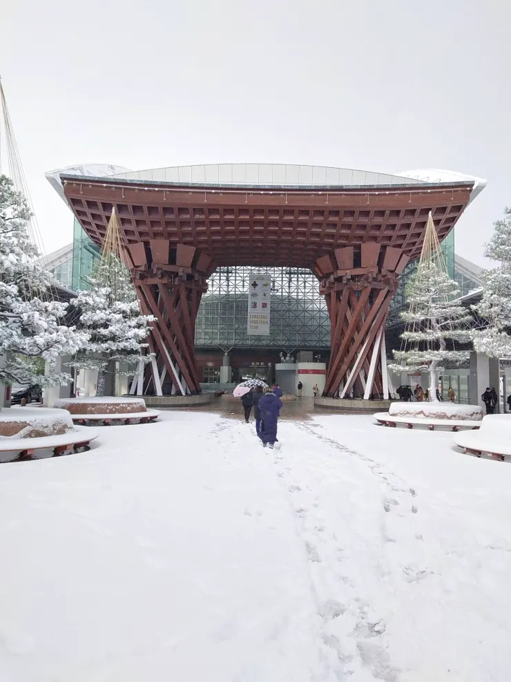 白天-雪中的景象