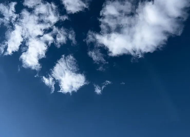 躺在草皮上看到的天空