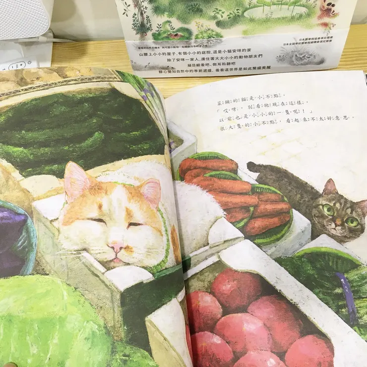 《沒有名字的貓》