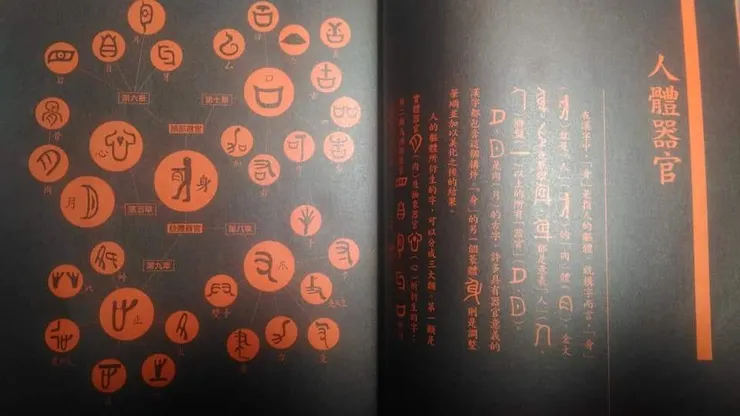 口手心月（肉）止......這些字元都和人體器官有關