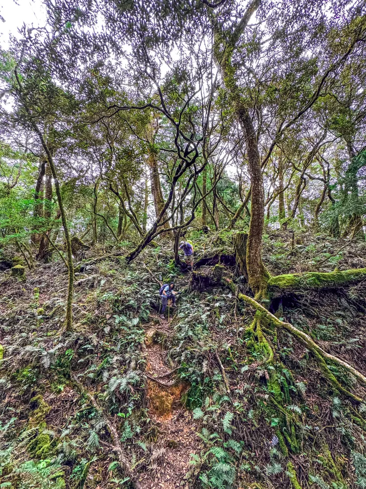 繼續往三叉路前進。