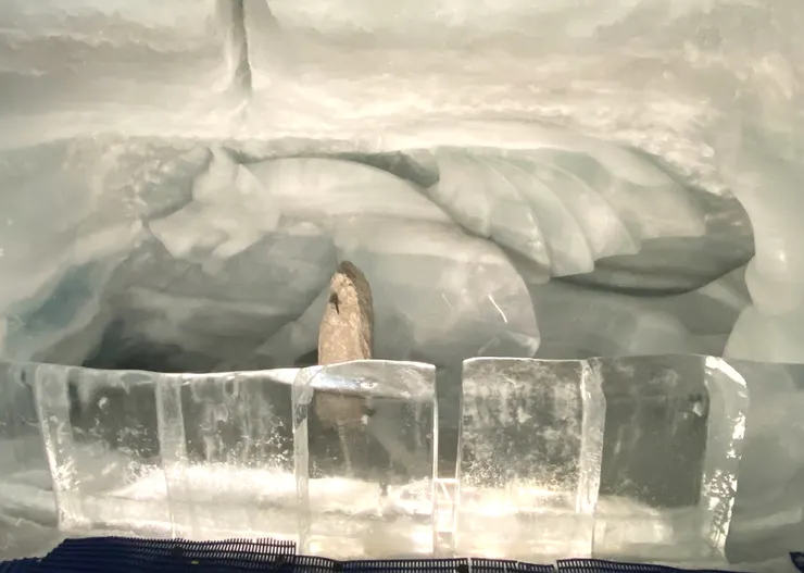 比較有設計感的狼