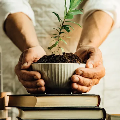 安心理財研究室｜安芯的理財 × 人生 × 日常