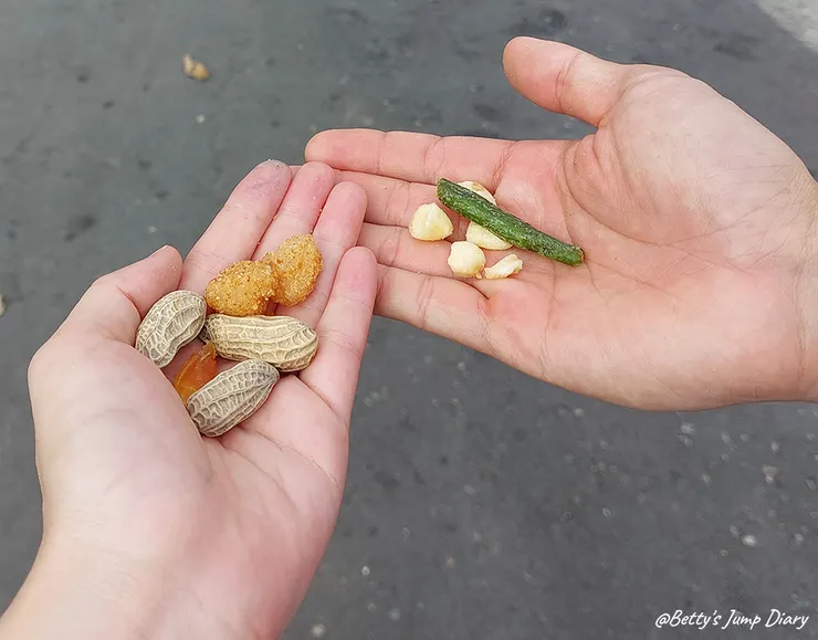 ▲苗栗三義-舊山線鐵道自行車C路線,龍騰站/圖片來源:Betty's Jump Diary