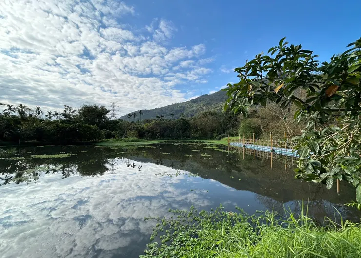 圖12 光復鄉馬太鞍欣綠農園園區內很適合散步賞鳥，清閒自在
