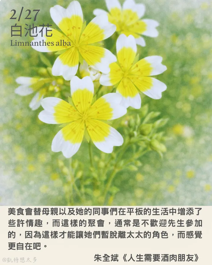 2 月 27日｜白池花×朱全斌《人生需要酒肉朋友》