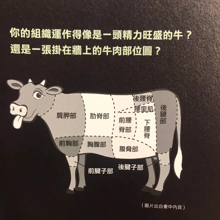 出自《明茲伯格談高效團隊》折口圖片