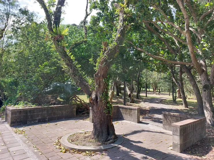 疑似荒廢的公園 / 資料來源:林鴻鈞@並木居