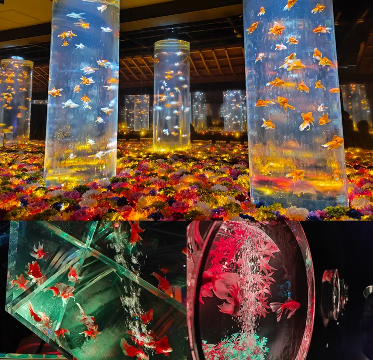 看更多照片請追縱我的IG @richangphoto1109