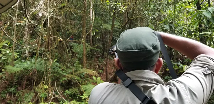 導游也加入拍攝行列