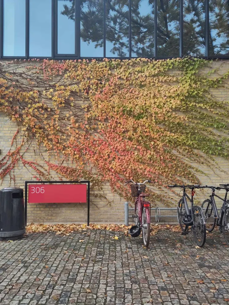 Fig. 1 丹麥工業大學一隅，秋冬之際，校園景致色彩鮮明