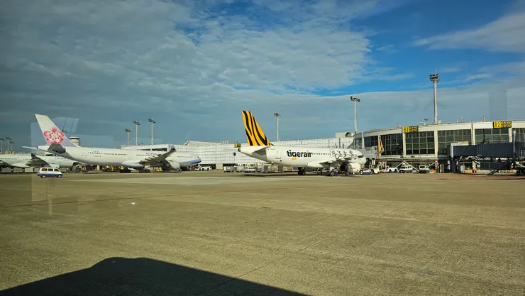 畫面中是台灣虎航的虎虎生風彩繪機!