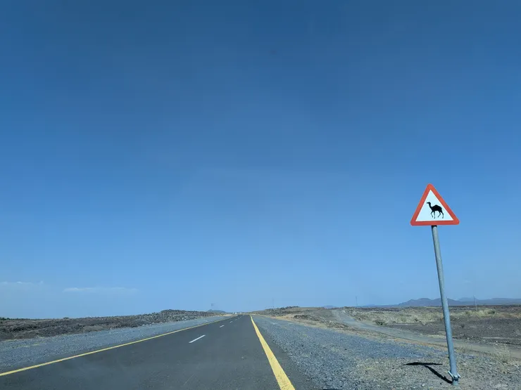 Mind the camels on the road，Photo: Zora @ Wadi Al Fora'a (July 8, 2025)