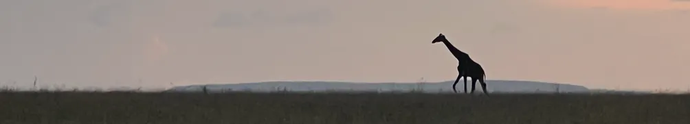 呂偉白的忘機書房