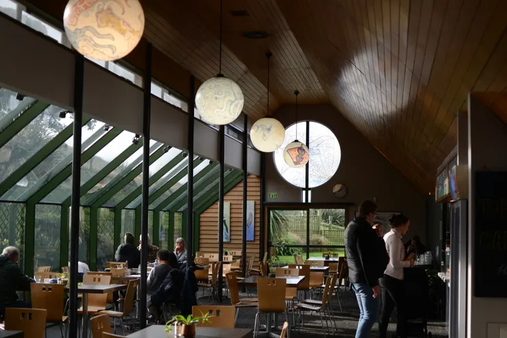 Royal Albatross Centre