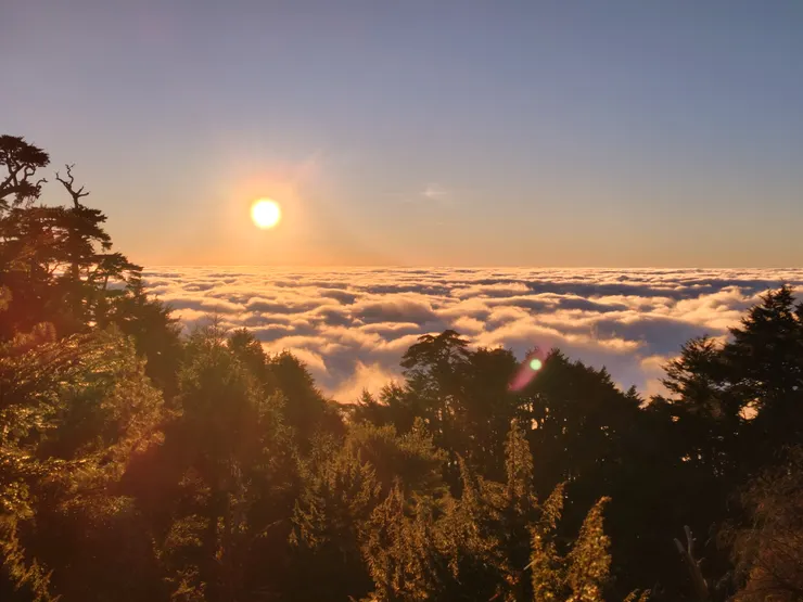 我們紮營在美奈田主山北峰前的一處松針地,那天的雲海從中午一直保持到日落,配上夕陽真是美不勝收。