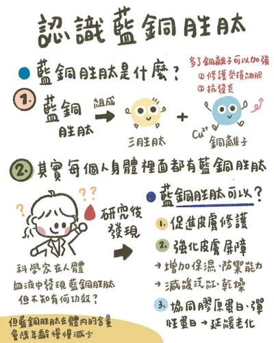 護膚界的「藍寶石」：藍銅胜肽