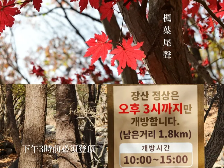 2022.11月還能看到一點楓紅/一路上都可以看到峰頂的開放時間段為10:00～15:00的告示牌