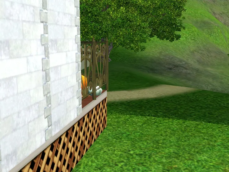 屋外除了海，還有青蔥的草和樹，環境很好。