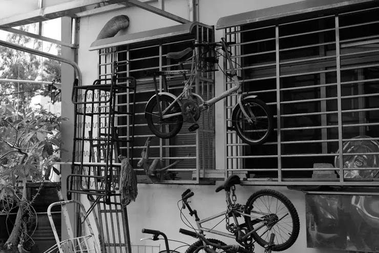 第五市場 / 初秋 2023