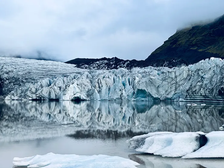 通通有,大家都給我去!!!