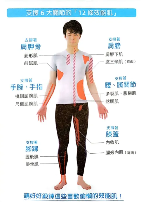 圖片翻攝自本書第19頁