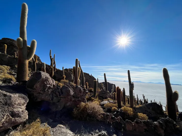 Isla Incahuasi, Salar de Uyuni, Bolivia.