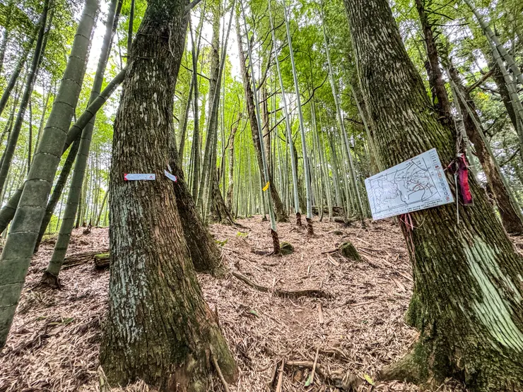 1302 抵逹 金平山/金平山南峰叉路、牌子山 。
