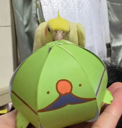 元宵節快樂！！！