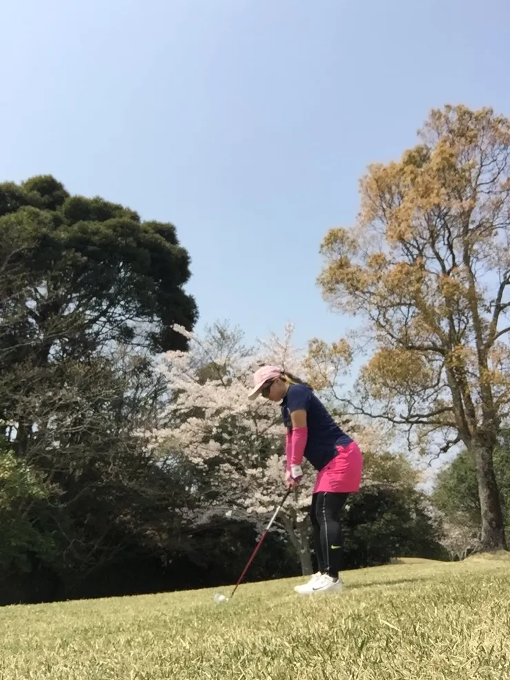 GOLF 5 Country Oak Village 球場櫻花盛開