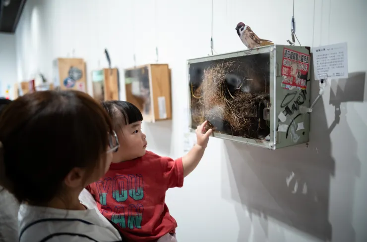 這個配電箱被麻雀當作大巢使用，不知道第一個發現的人一打開箱子會有多驚訝。